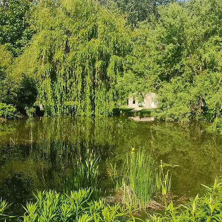 Csereerdo Szive Vendeghaz Daire Debrecen